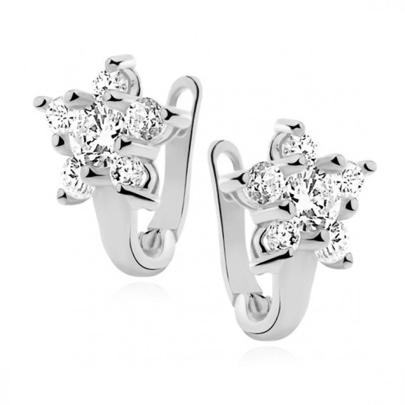 Silver earrings, Flower